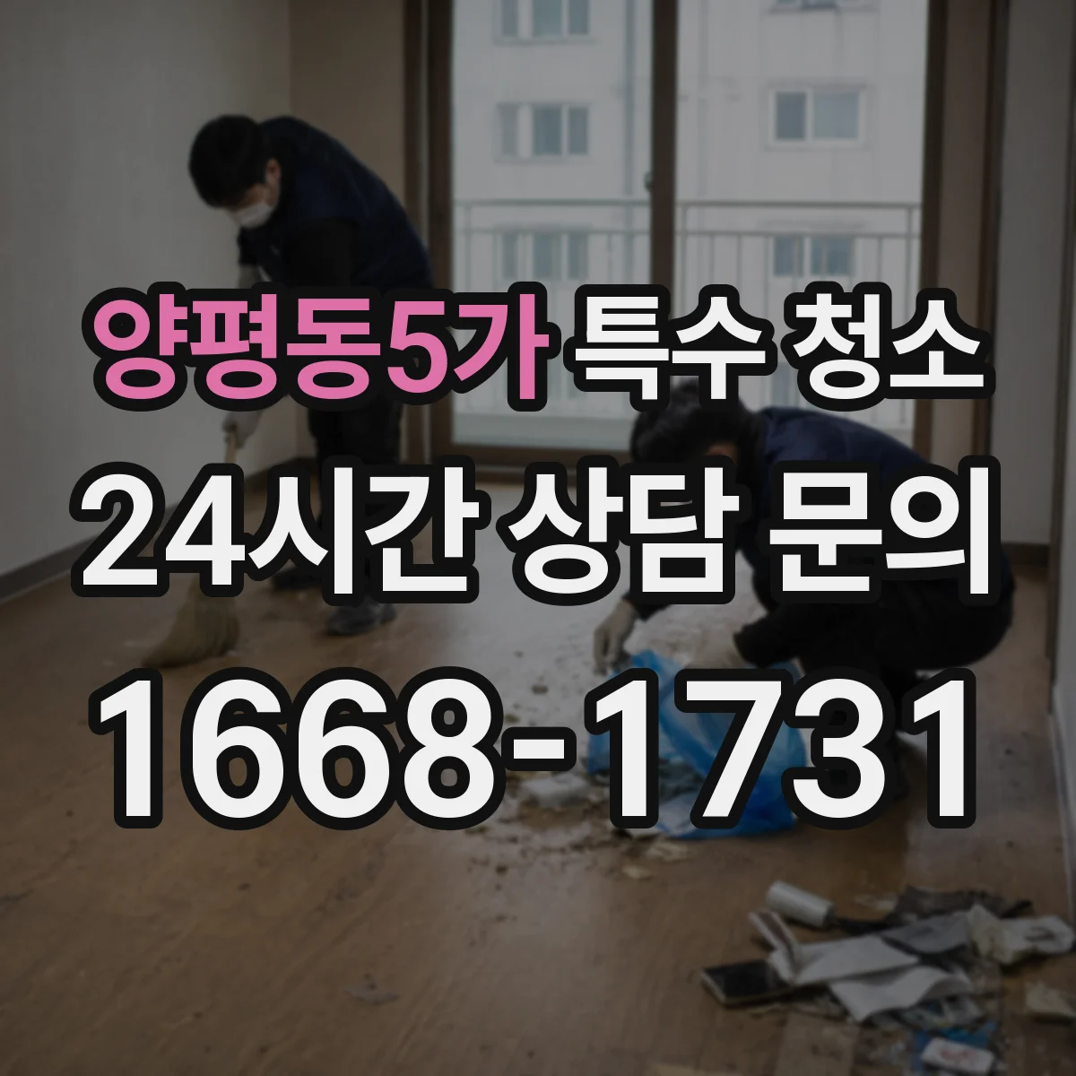 양평동5가 특수 청소