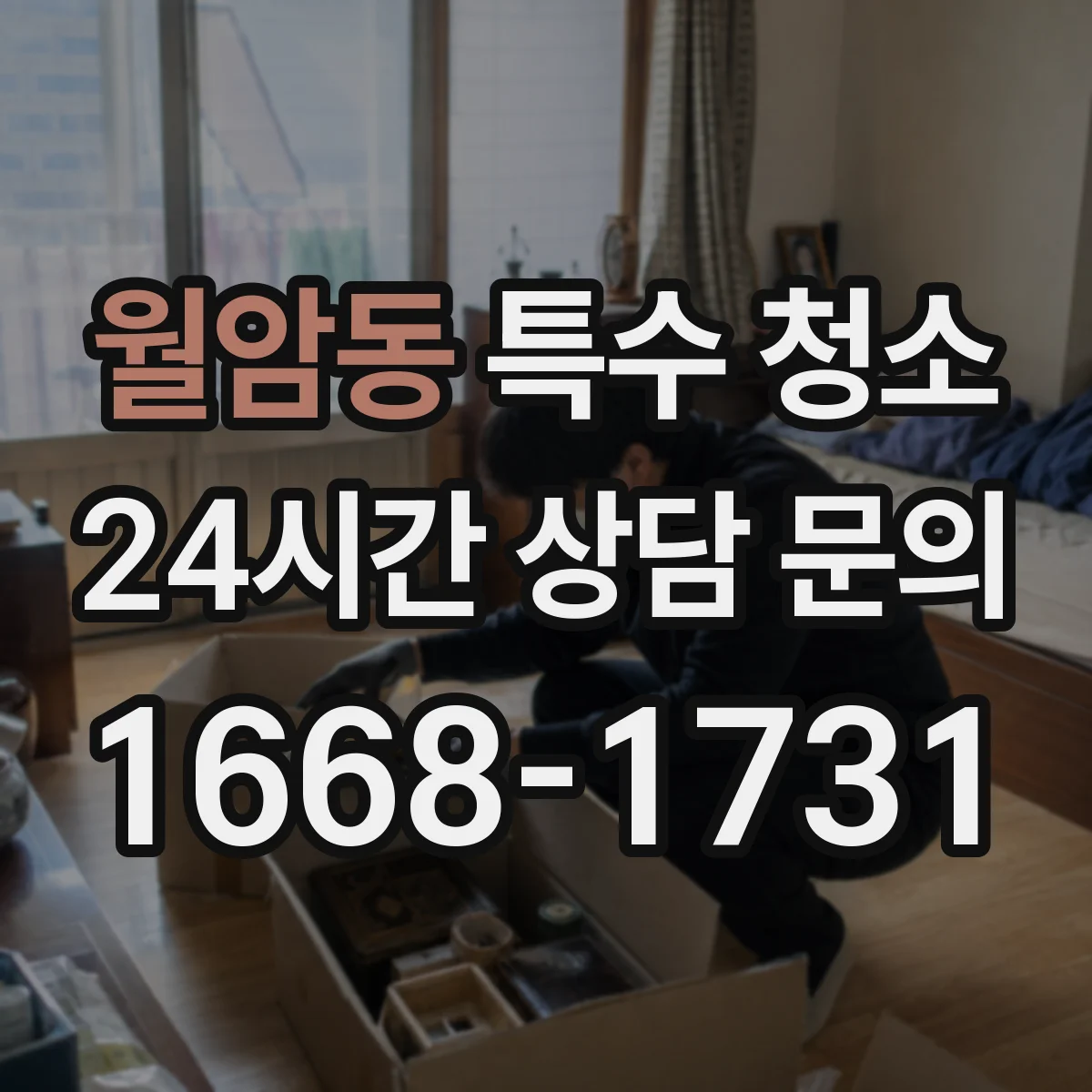 월암동 특수 청소