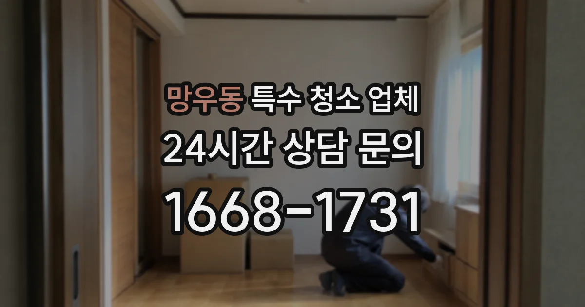 망우동 특수 청소 업체
