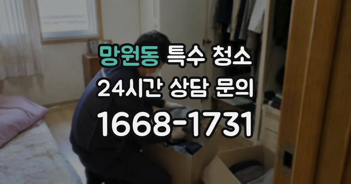 망원동 특수 청소