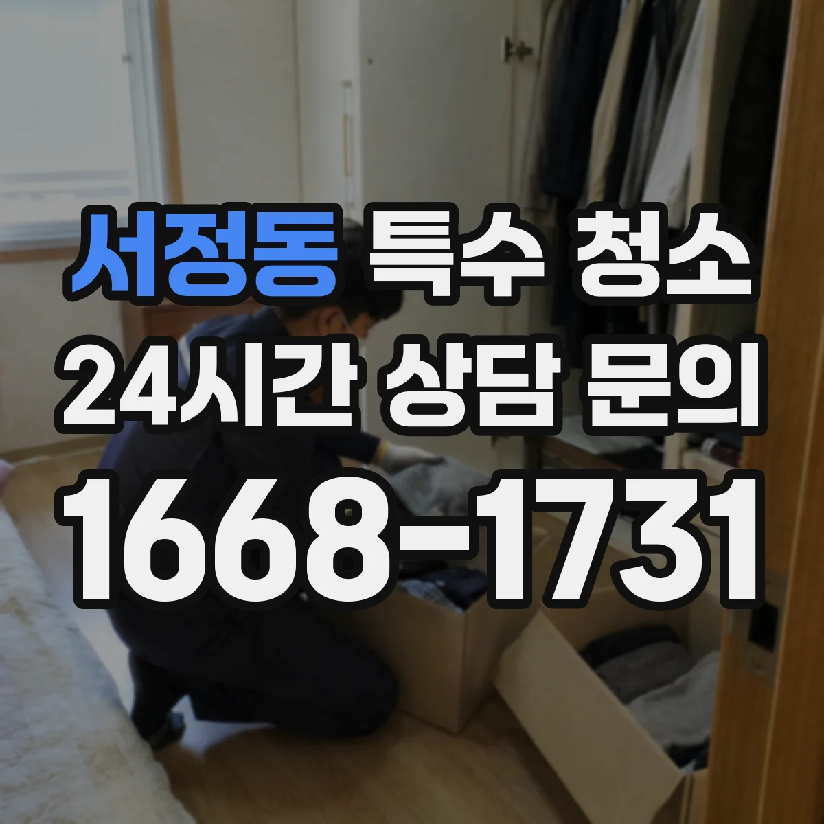 서정동 특수 청소