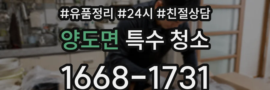 양도면 특수 청소
