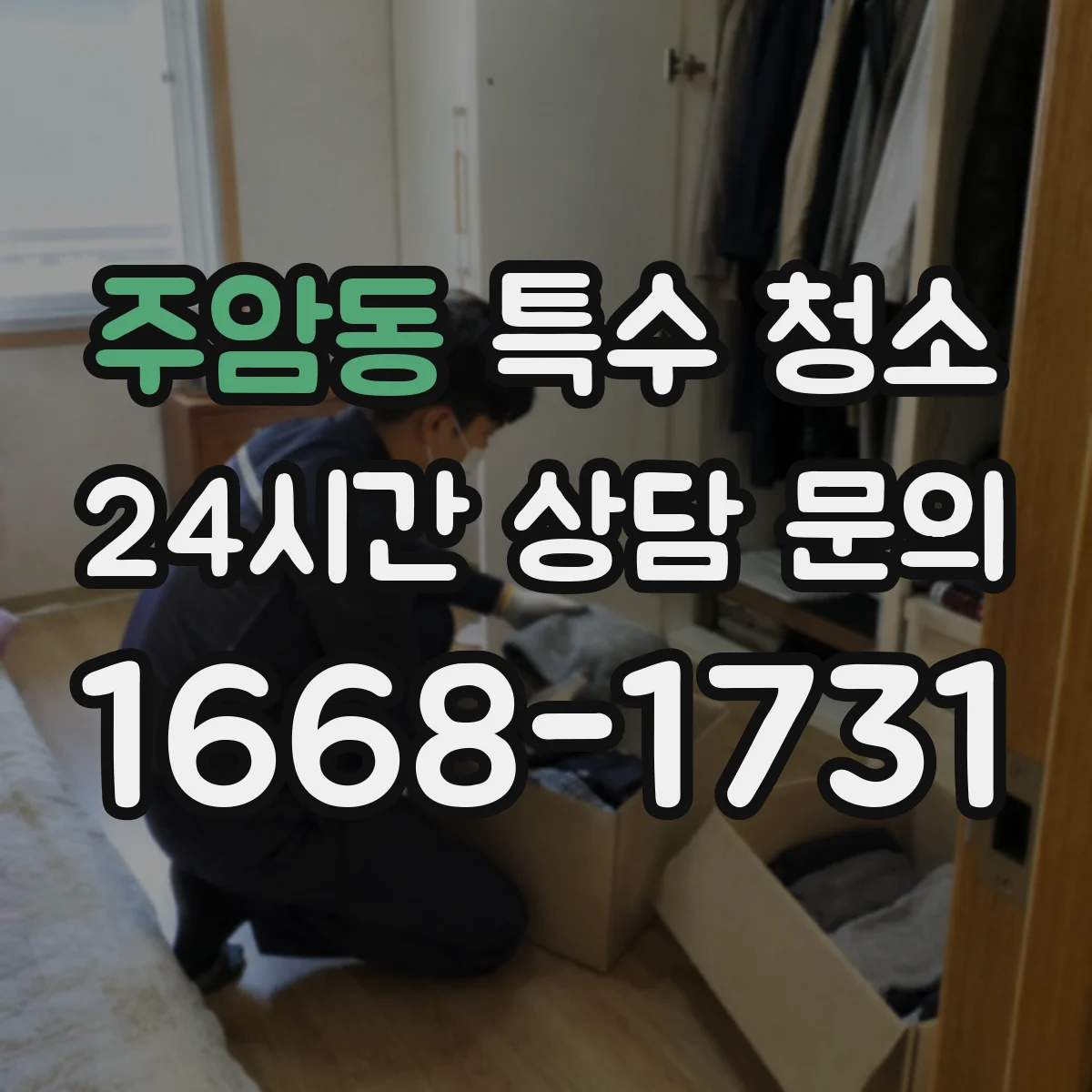 주암동 특수 청소