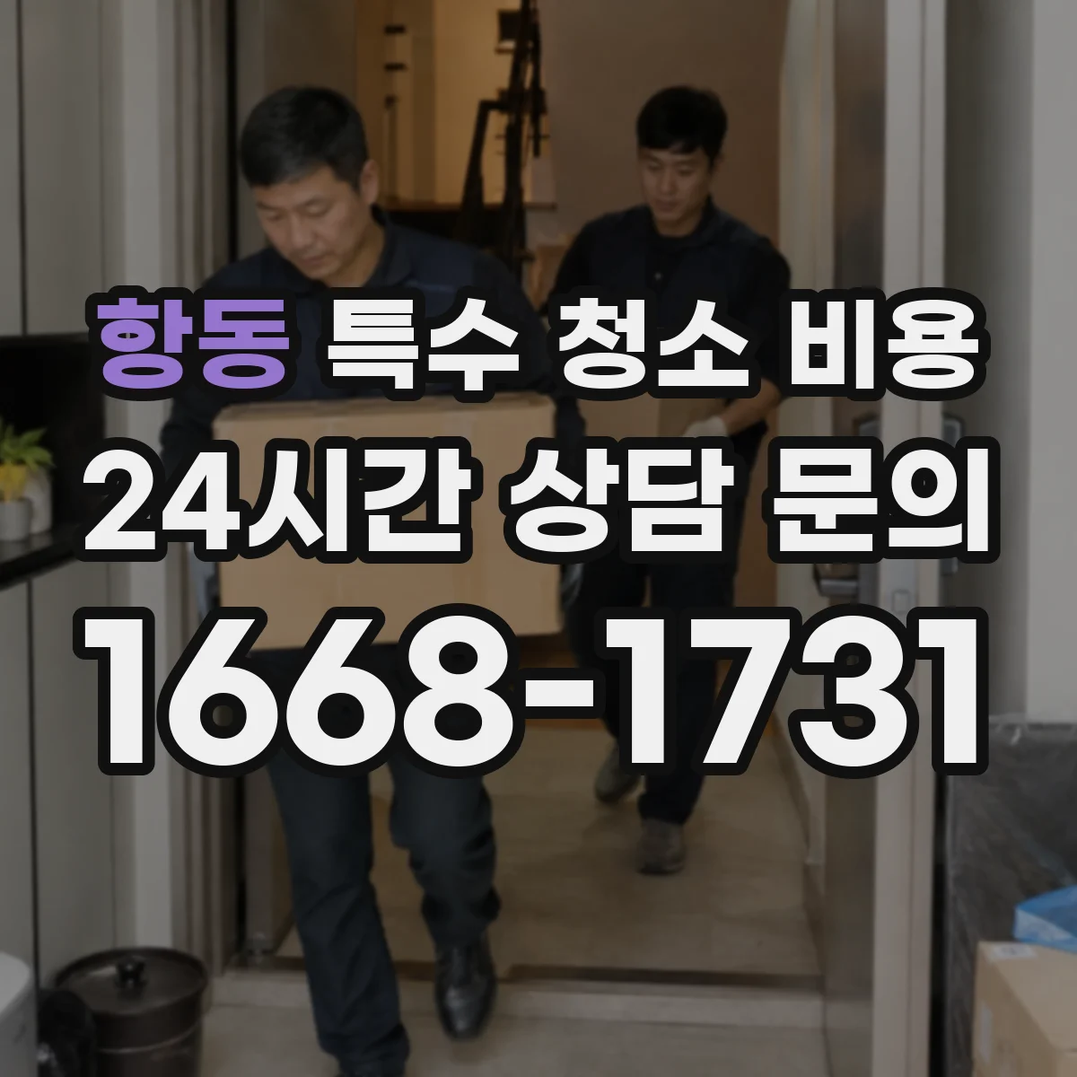 항동 특수 청소 비용