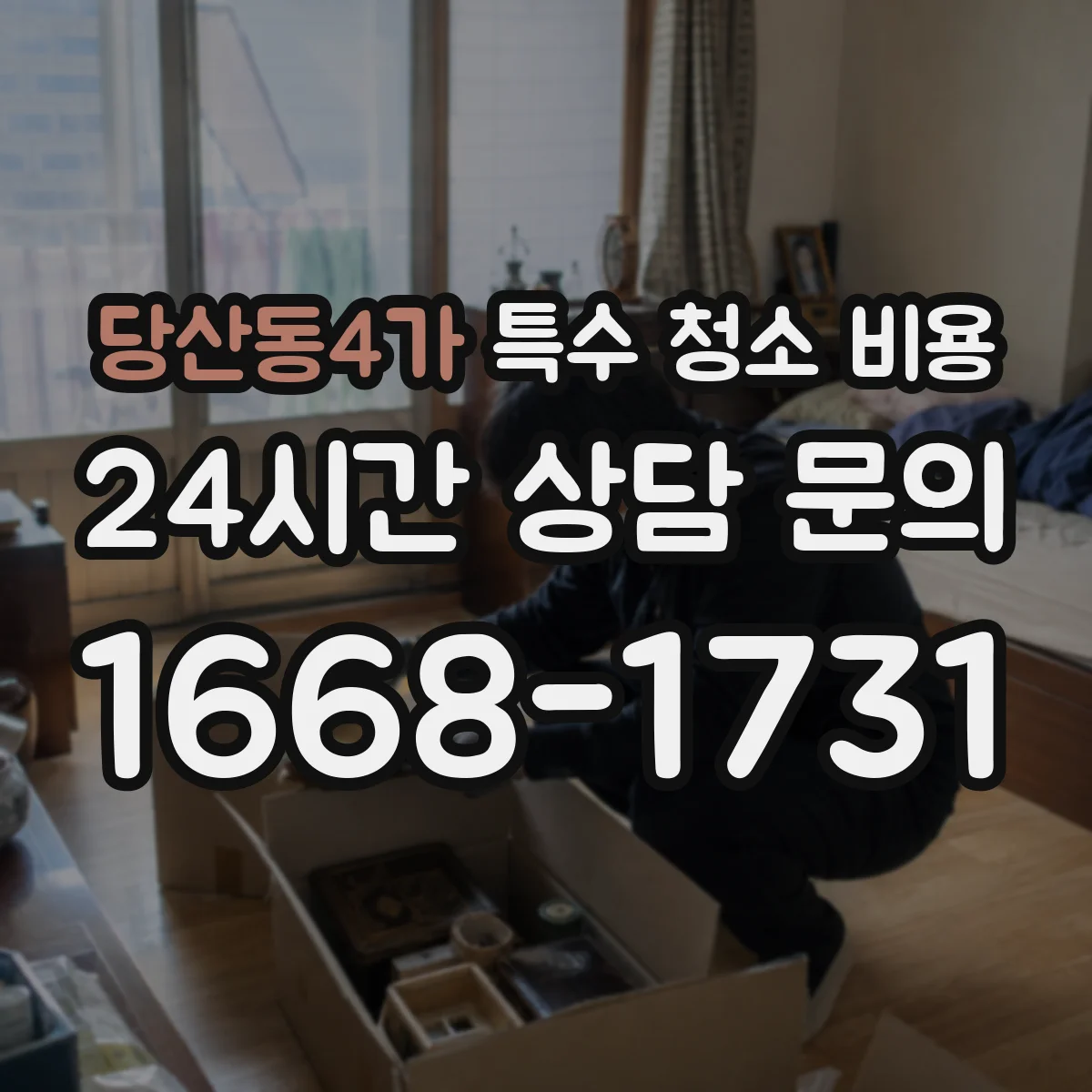당산동4가 특수 청소 비용