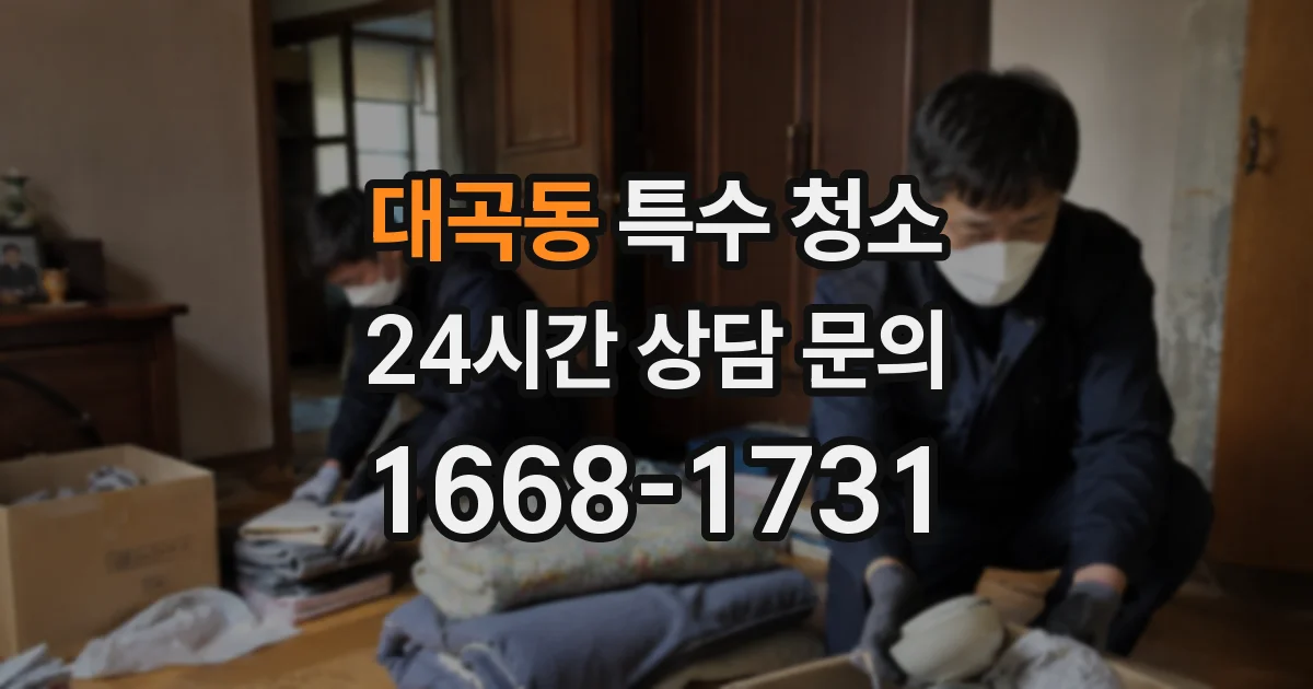 대곡동 특수 청소