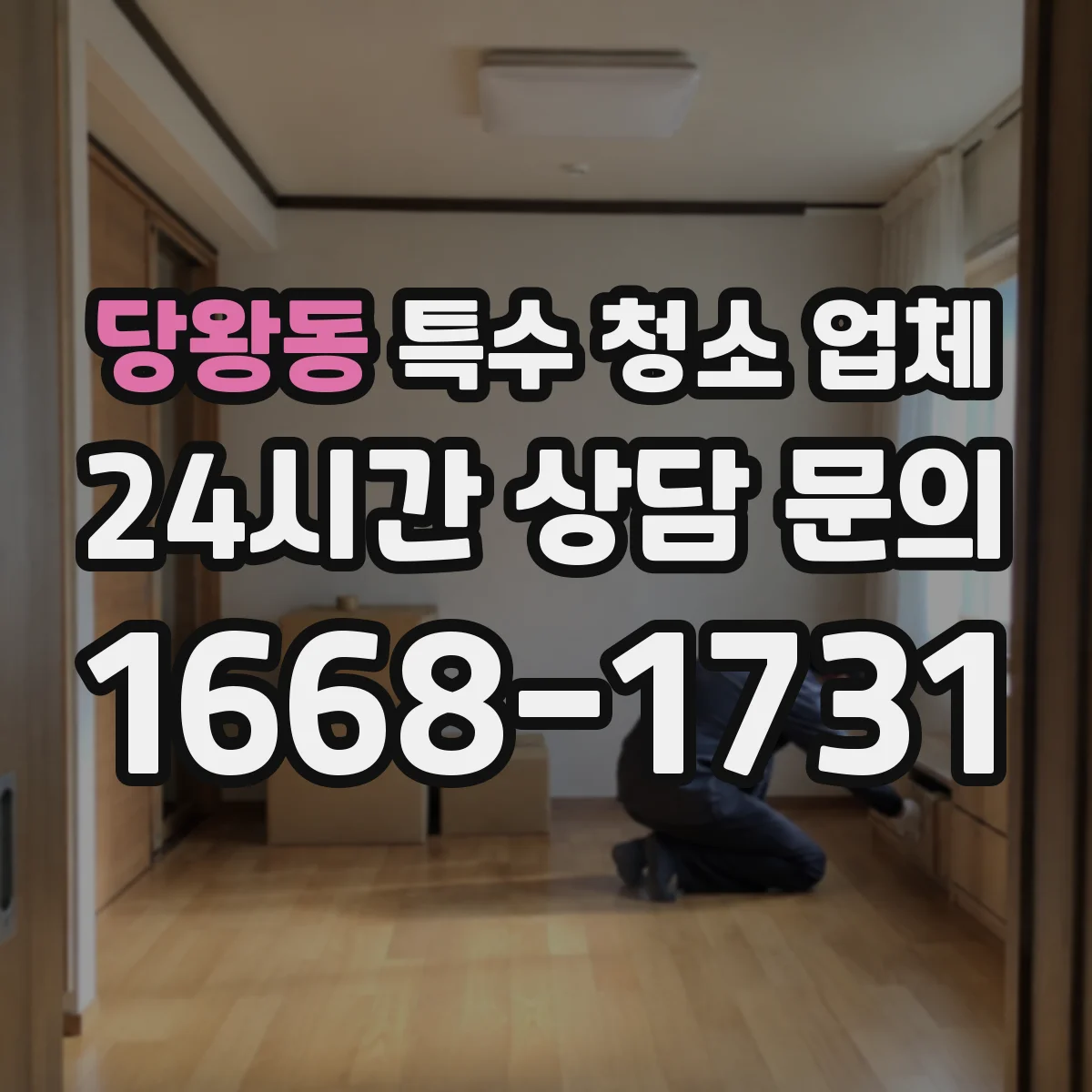 당왕동 특수 청소 업체