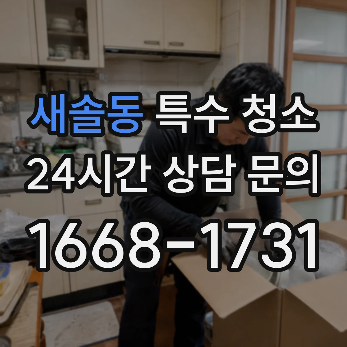 새솔동 특수 청소
