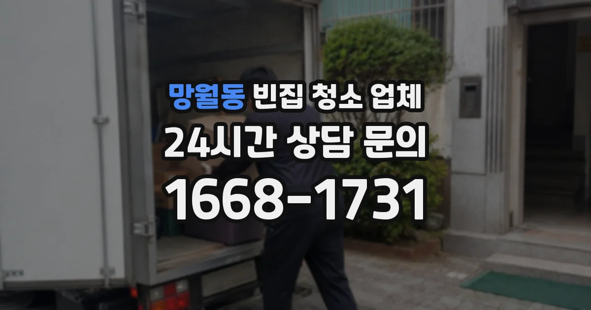 망월동 빈집 청소 업체