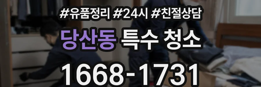 당산동 특수 청소