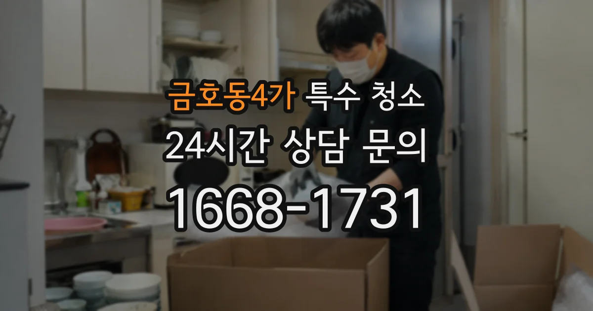 금호동4가 특수 청소