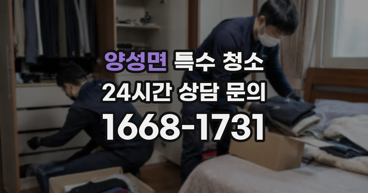 양성면 특수 청소