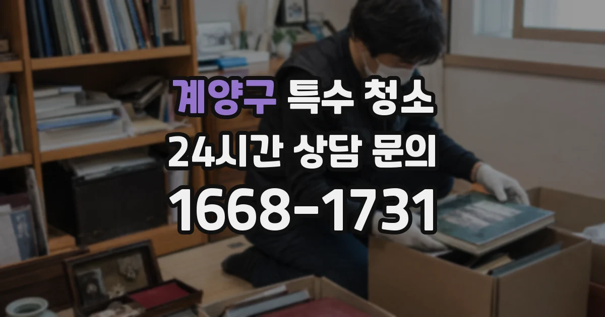 계양구 특수 청소