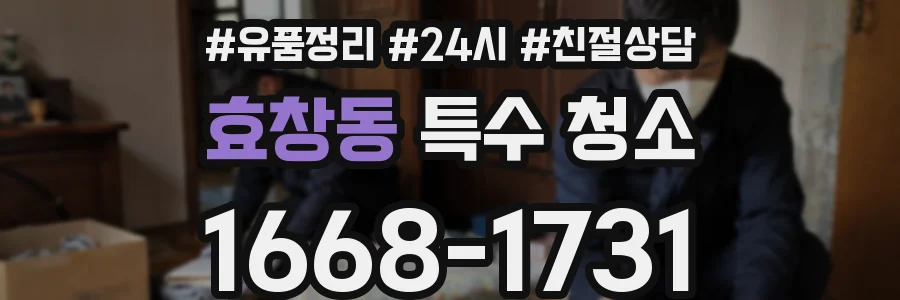 효창동 특수 청소