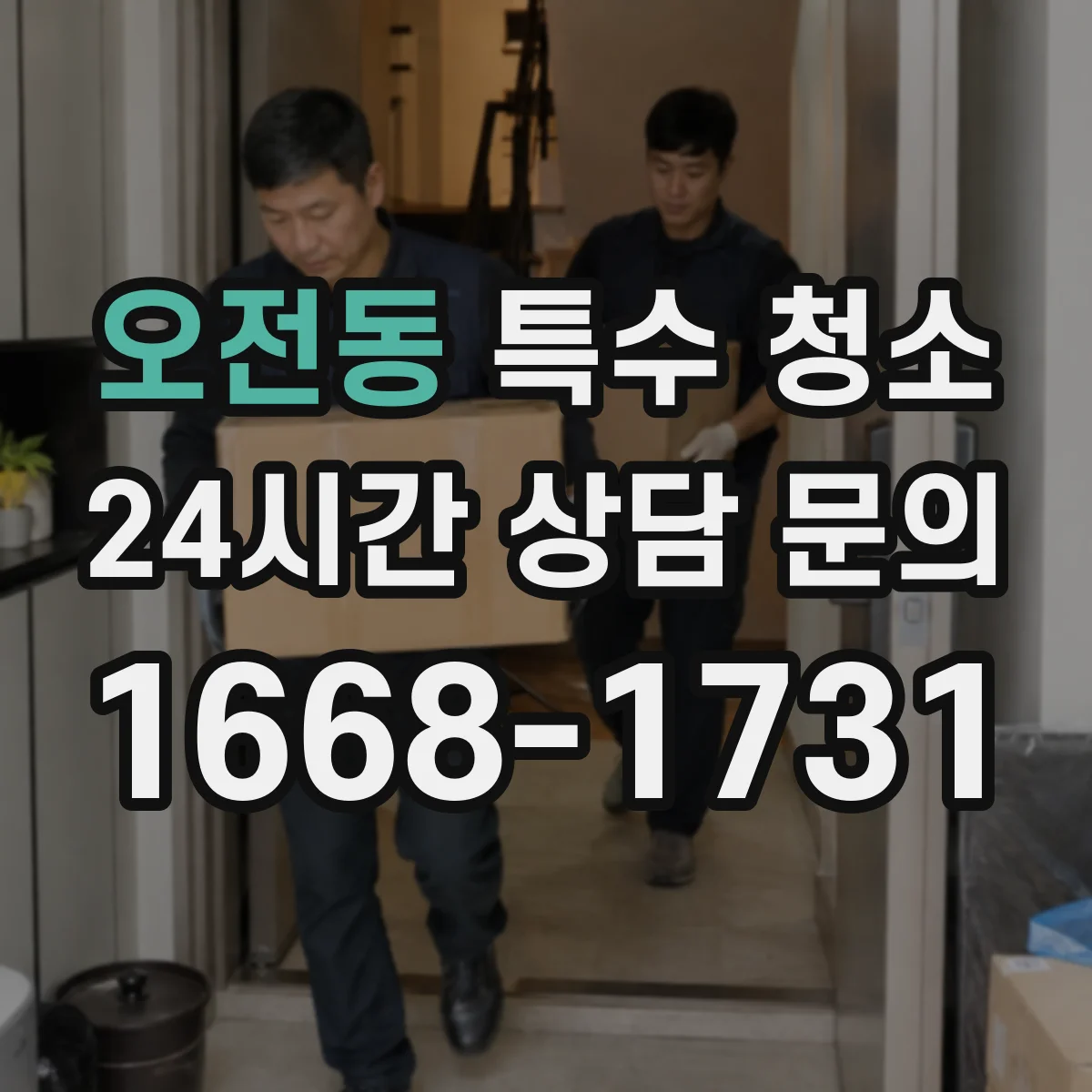 오전동 특수 청소