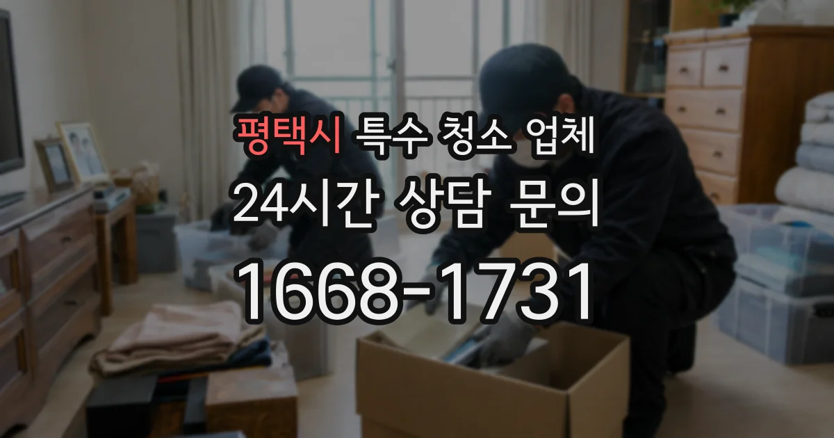 평택시 특수 청소 업체