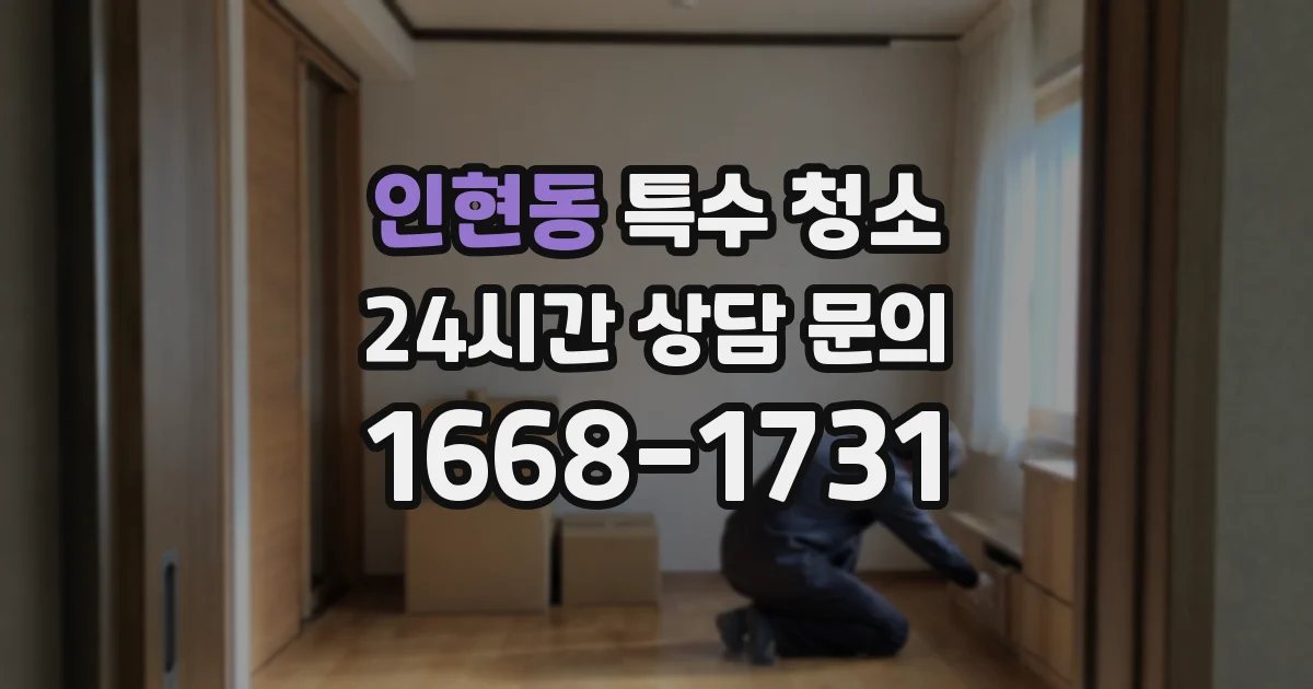 인현동 특수 청소
