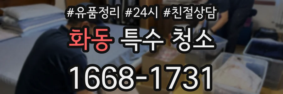 화동 특수 청소