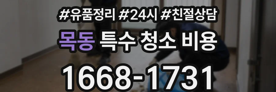 목동 특수 청소 비용