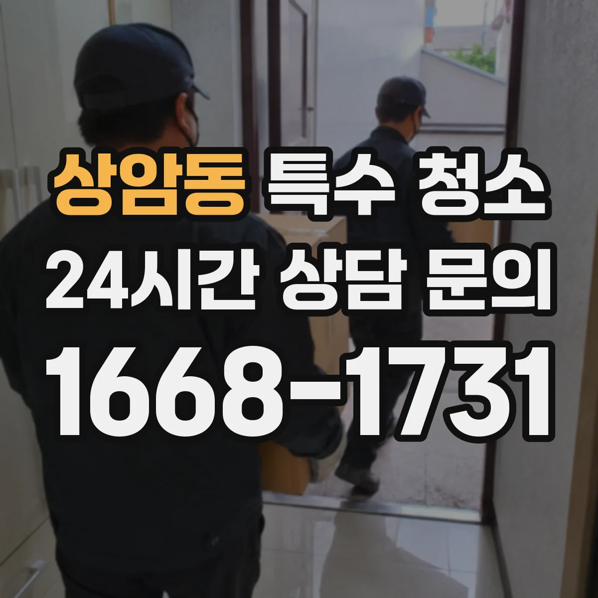 상암동 특수 청소