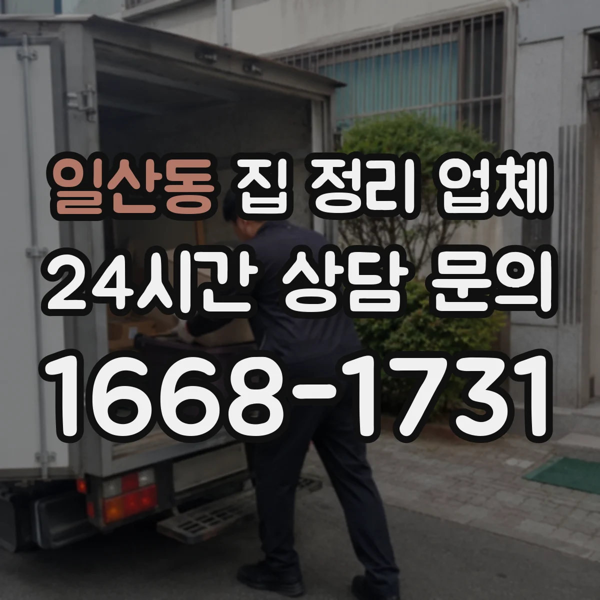 일산동 집 정리 업체