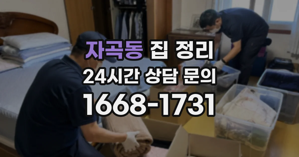자곡동 집 정리