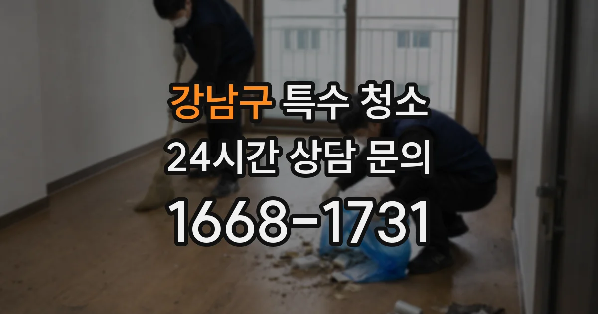강남구 특수 청소