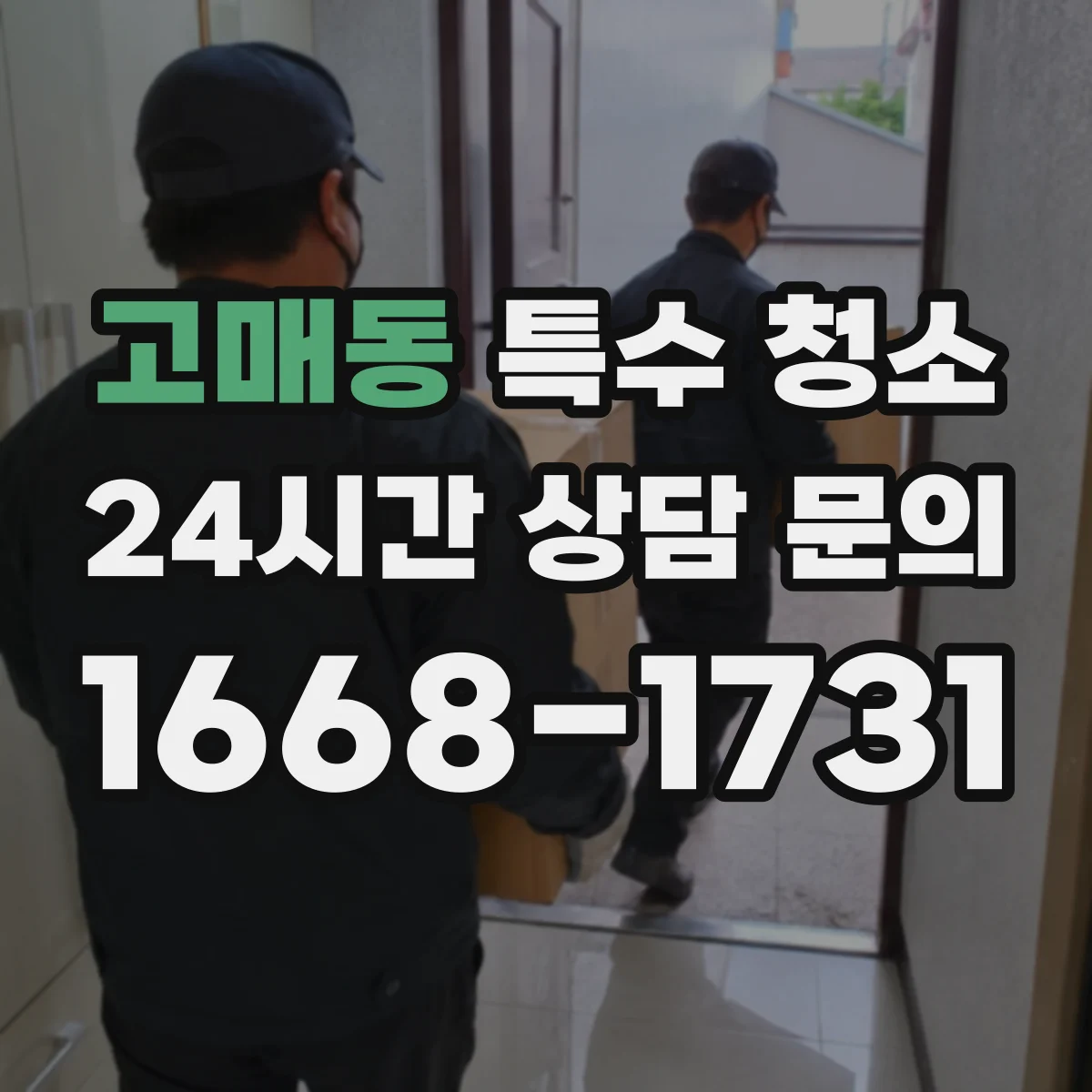 고매동 특수 청소