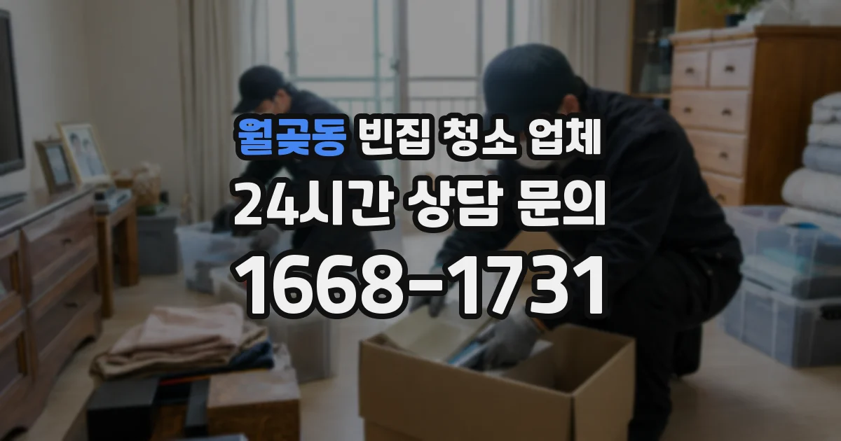 월곶동 빈집 청소 업체