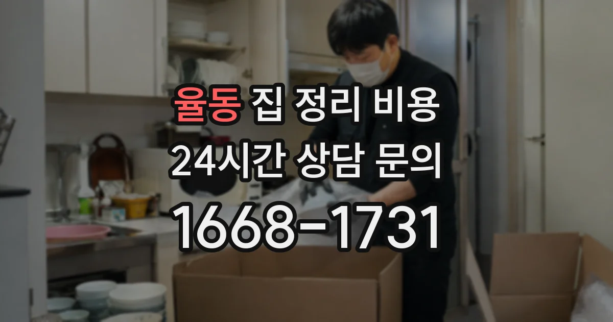 율동 집 정리 비용