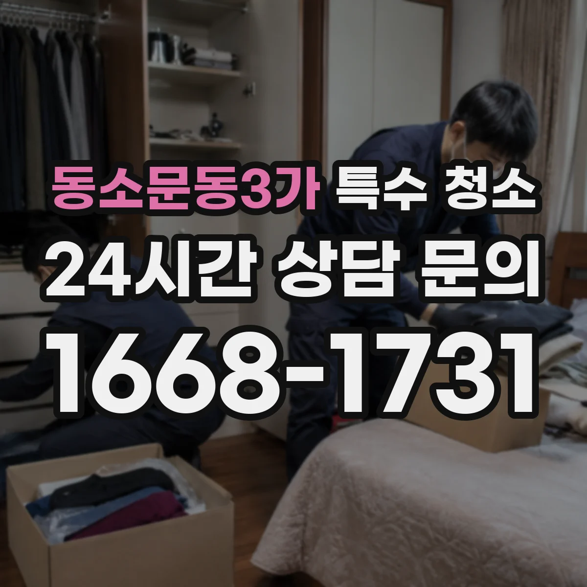 동소문동3가 특수 청소
