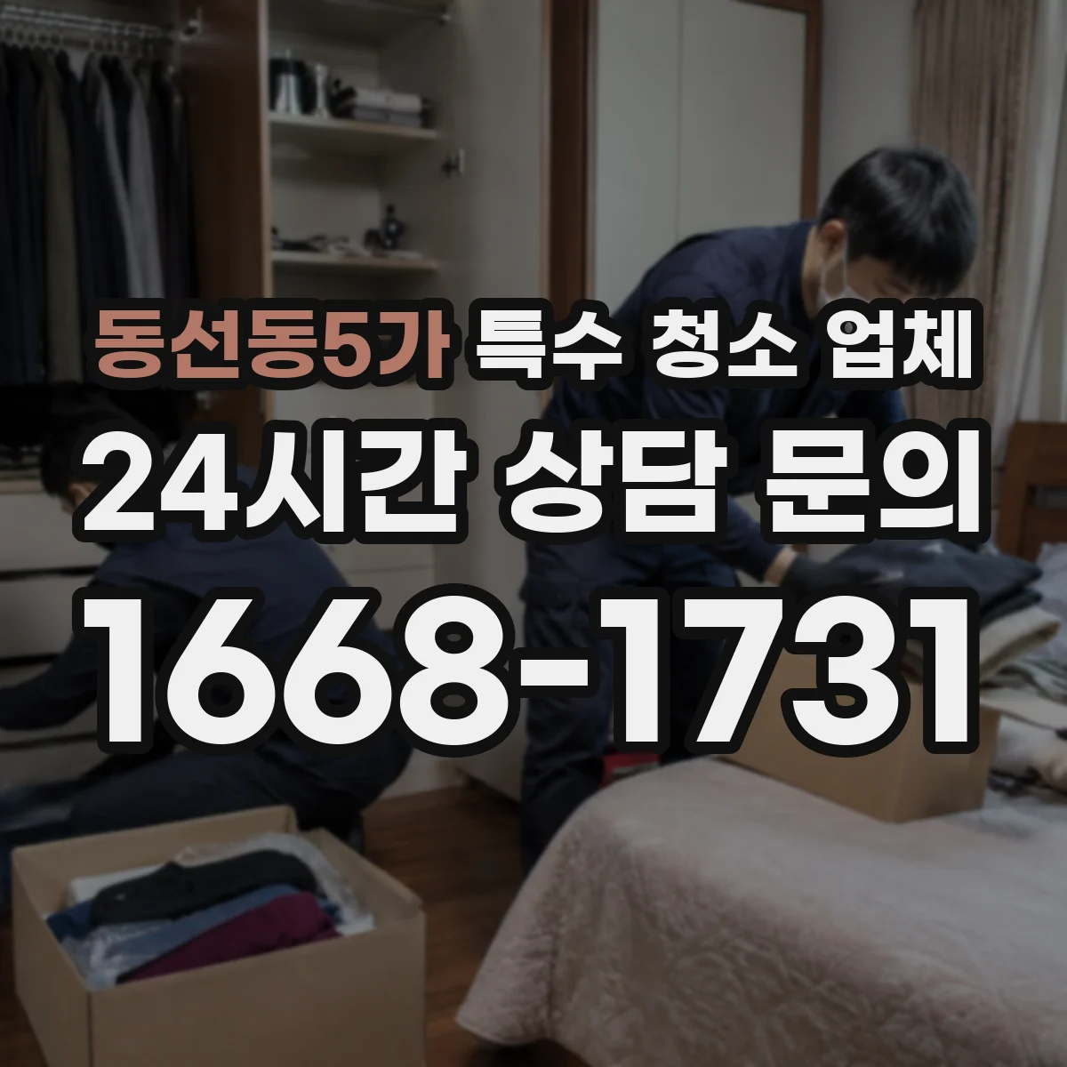 동선동5가 특수 청소 업체