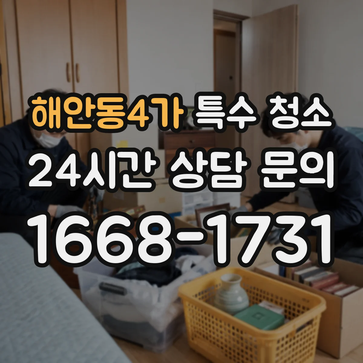 해안동4가 특수 청소