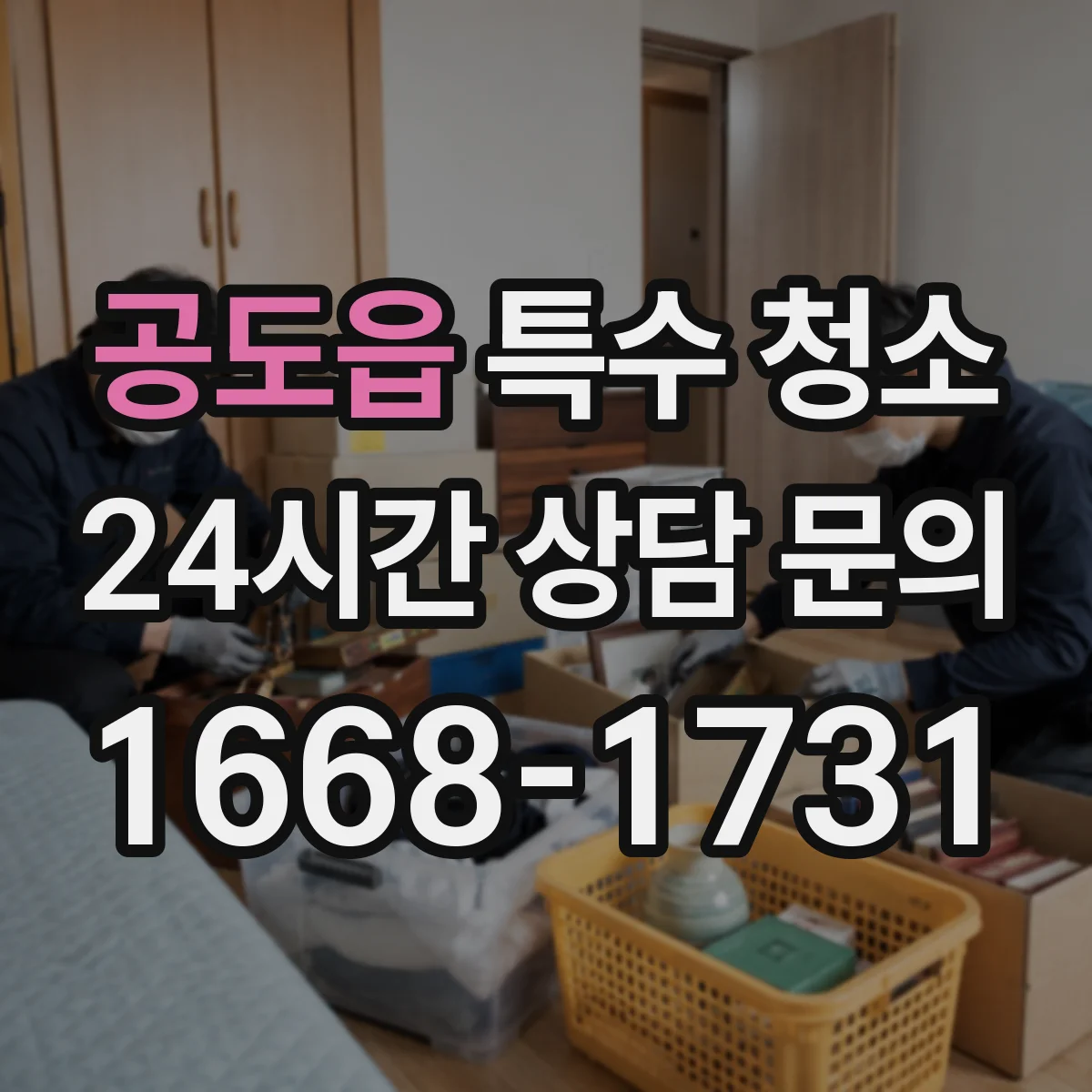 공도읍 특수 청소