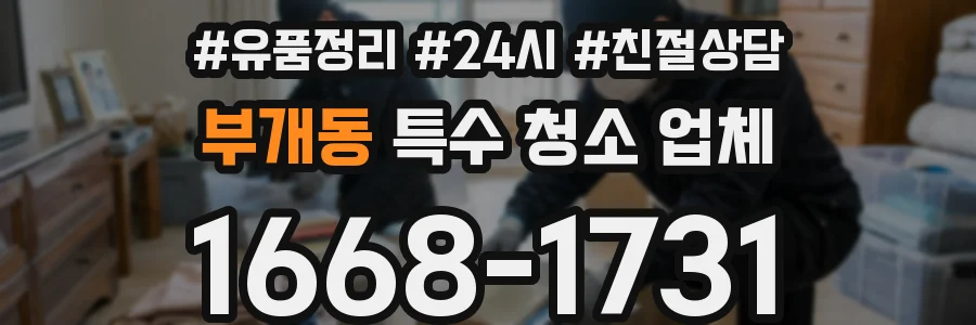 부개동 특수 청소 업체