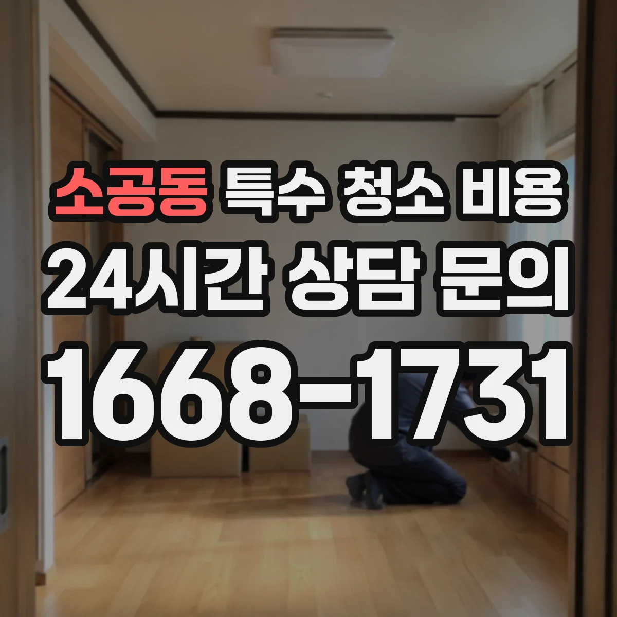 소공동 특수 청소 비용