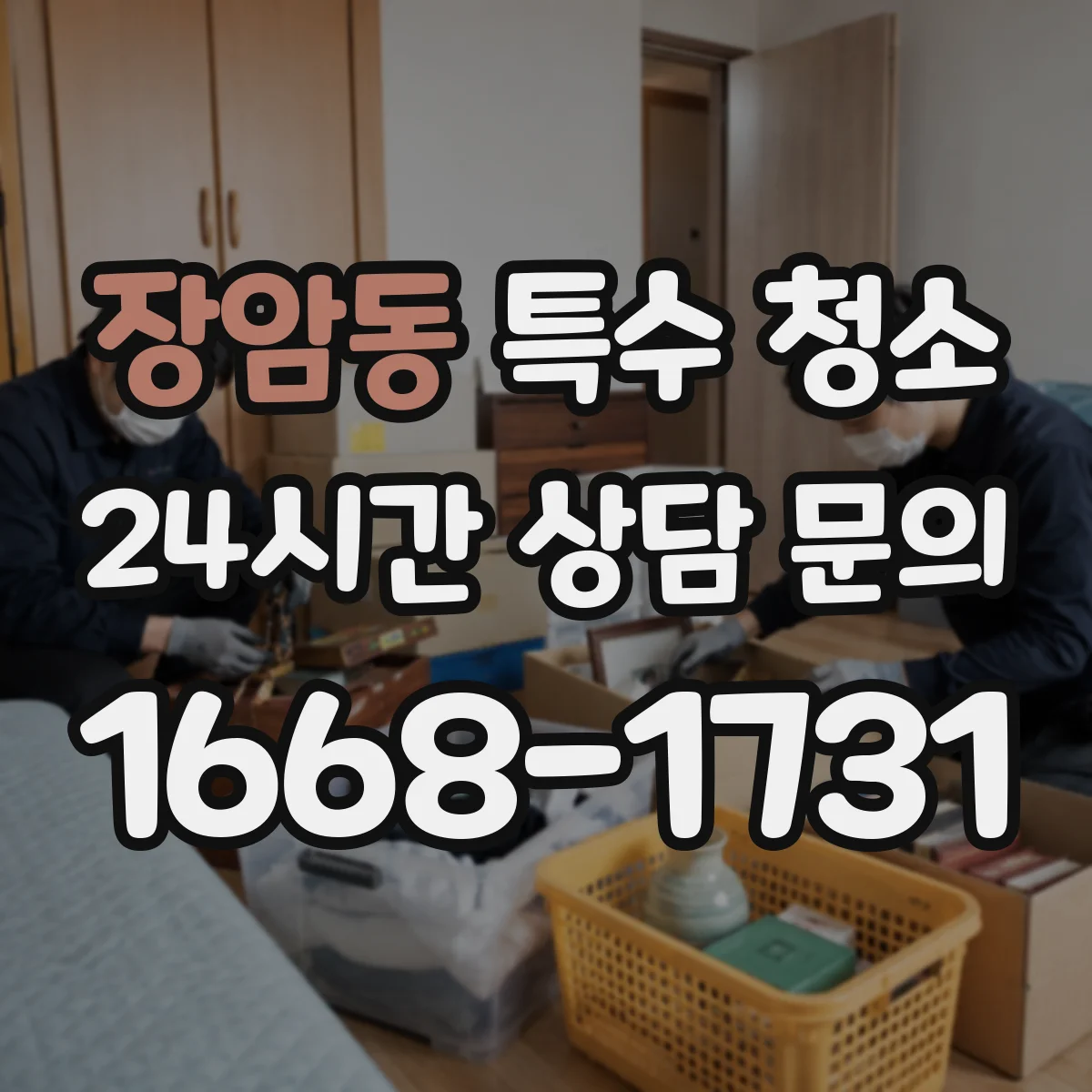 장암동 특수 청소