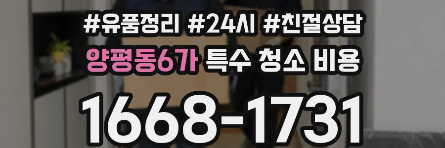 양평동6가 특수 청소 비용