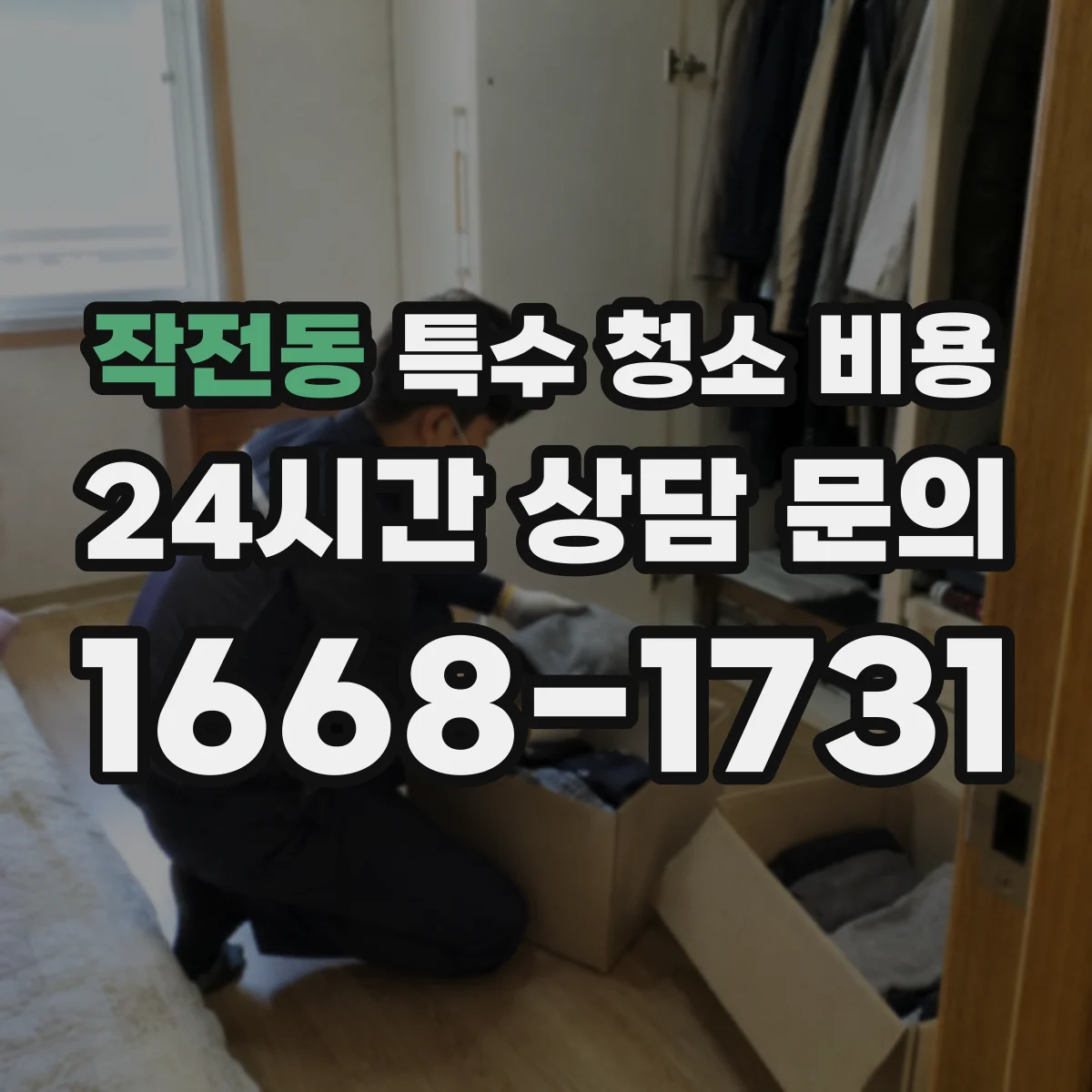 작전동 특수 청소 비용