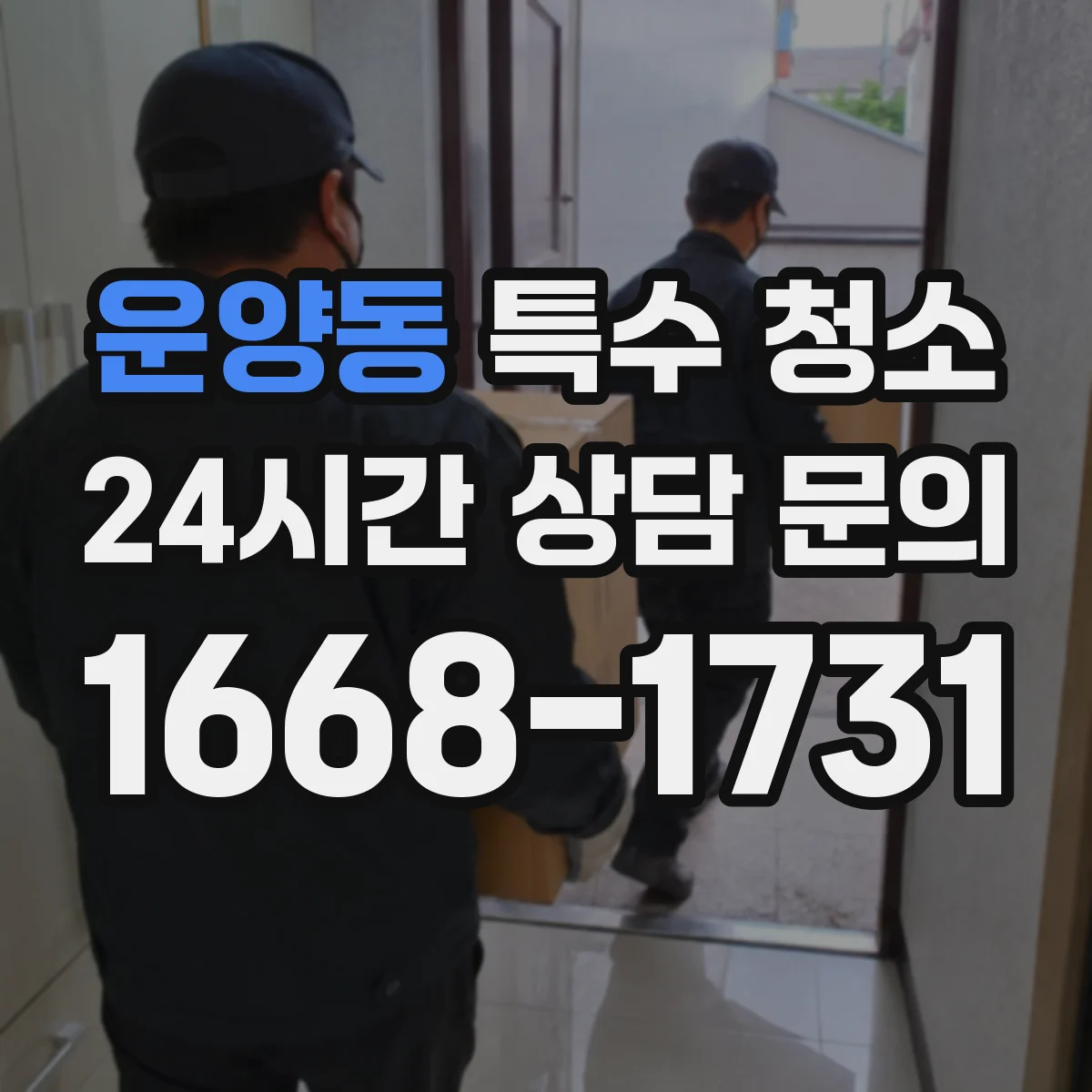 운양동 특수 청소