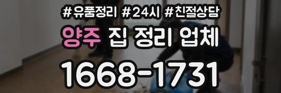 양주 집 정리 업체
