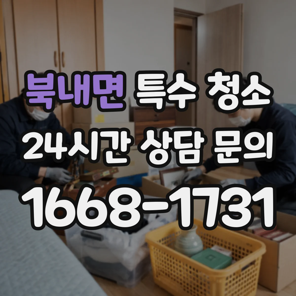 북내면 특수 청소