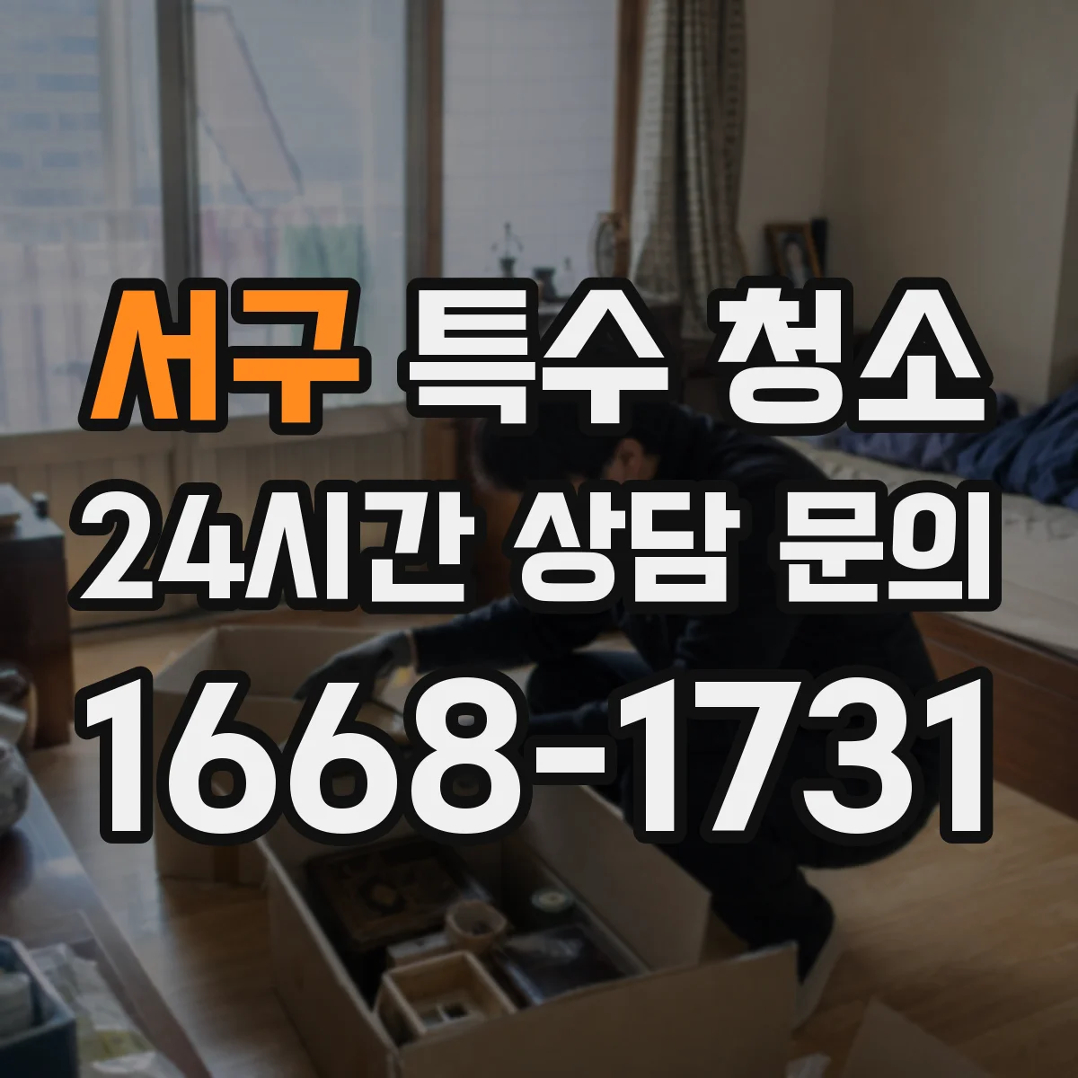 서구 특수 청소