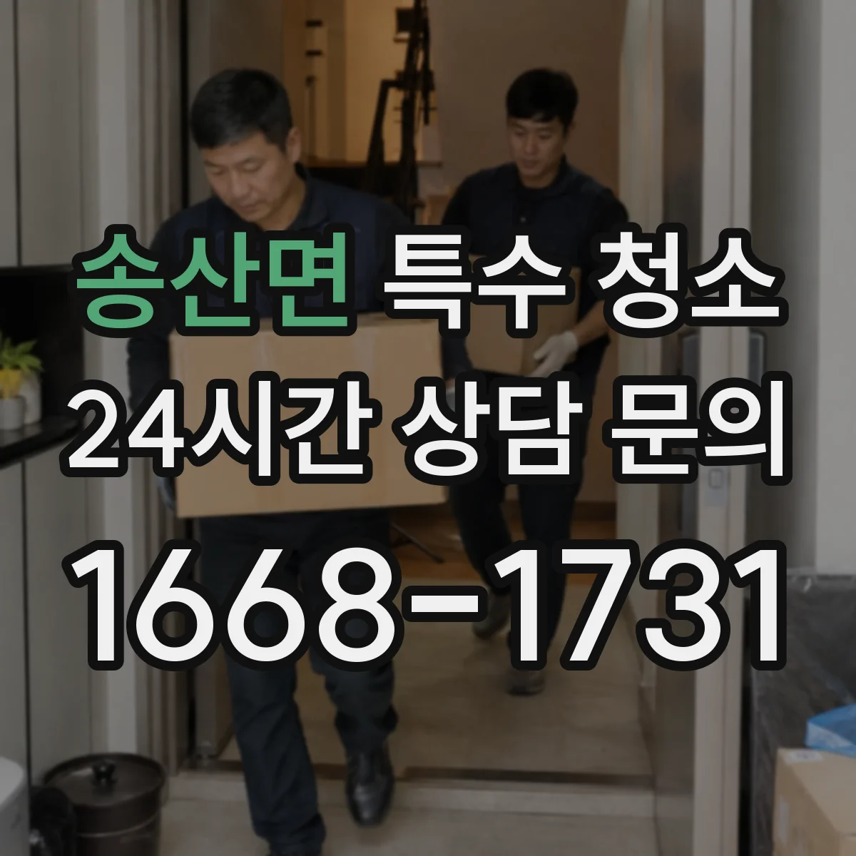 송산면 특수 청소