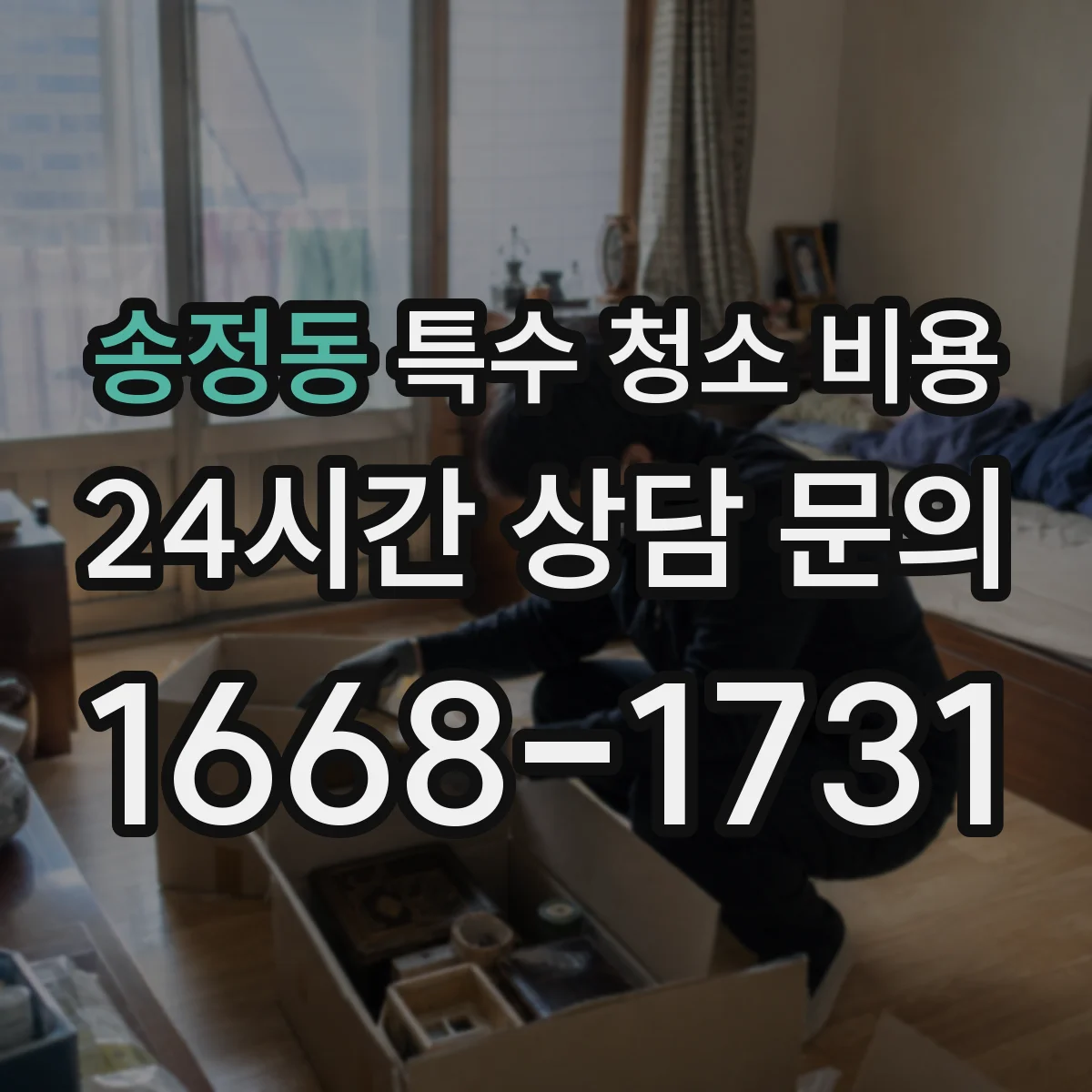 송정동 특수 청소 비용
