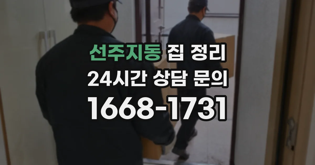 선주지동 집 정리