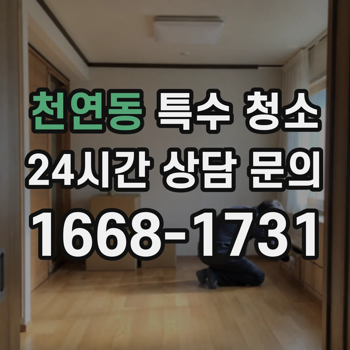 천연동 특수 청소