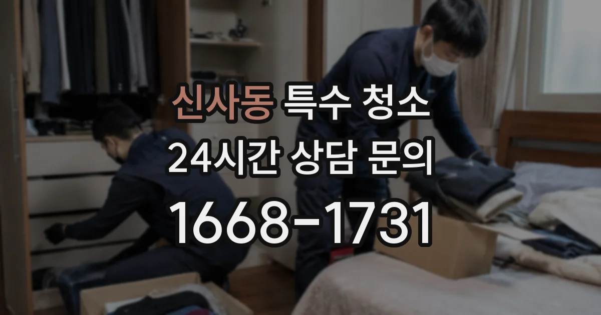 신사동 특수 청소