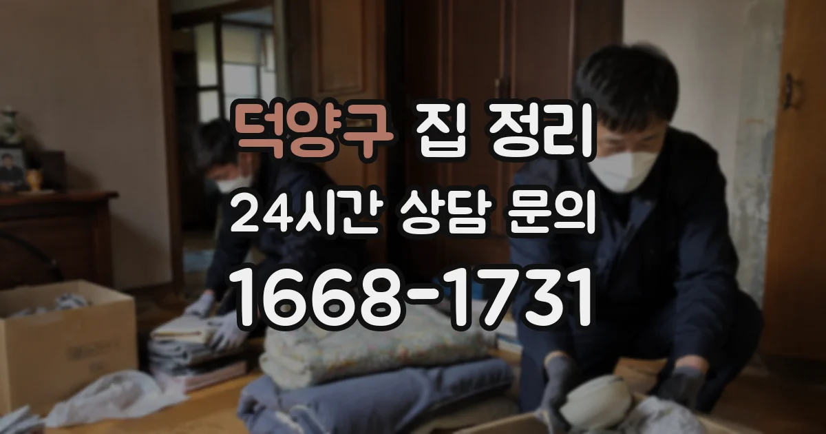 덕양구 집 정리