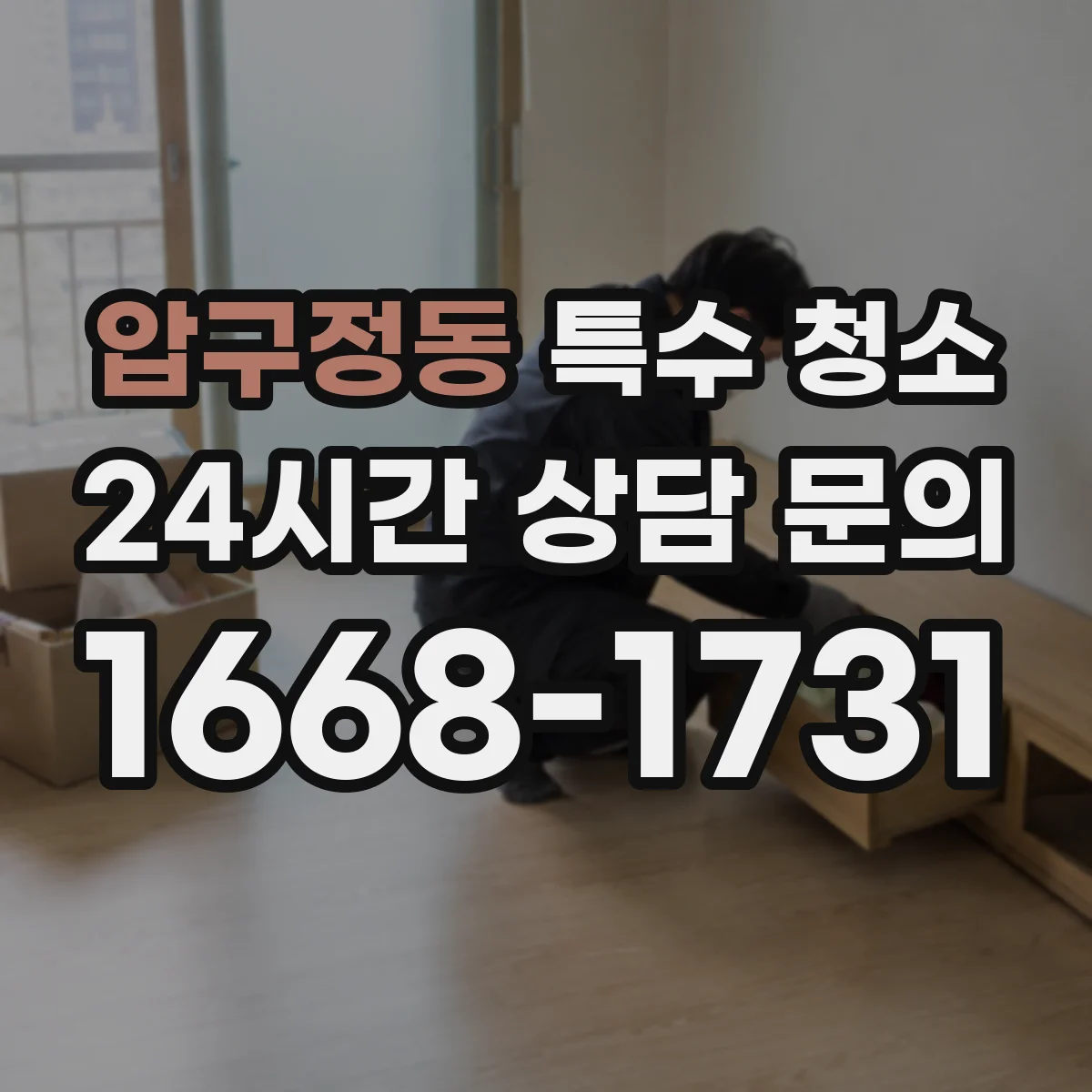 압구정동 특수 청소
